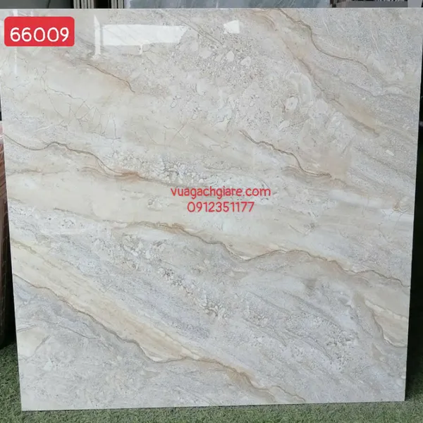 Gạch Đá 60x60 Ốp Lát Giá Rẻ vân đá 66009