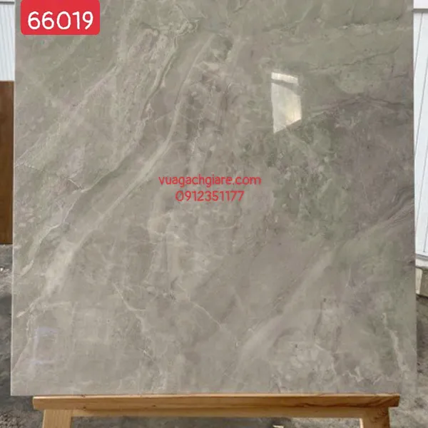 Gạch Đá 60x60 Ốp Lát Giá Rẻ vân đá 66019