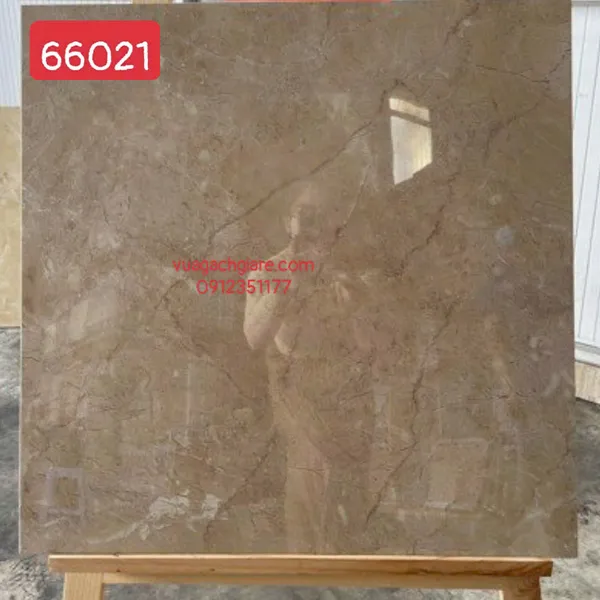 Gạch Đá 60x60 Ốp Lát Giá Rẻ vân đá 66021