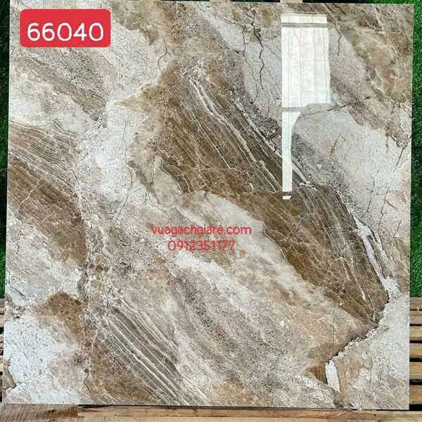 Gạch Đá 60x60 Ốp Lát Giá Rẻ vân đá 66040