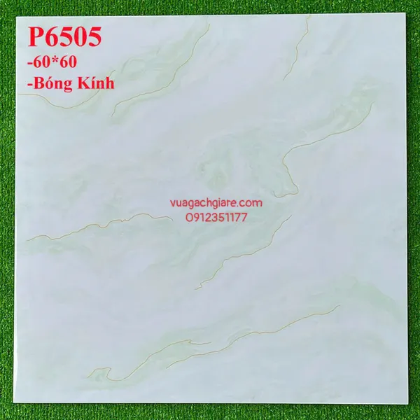 Gạch Đá 60x60 Ốp Lát Giá Rẻ vân mây P6505