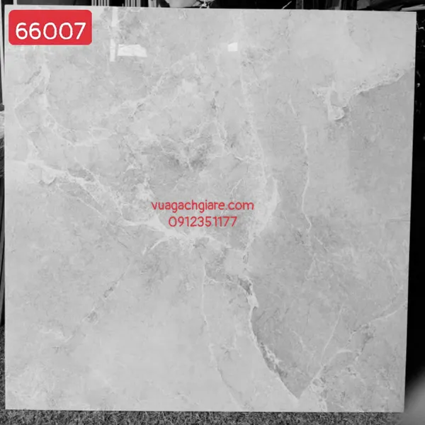Gạch Đá 60x60 Ốp Lát Giá Rẻ xám vân trắng 66007