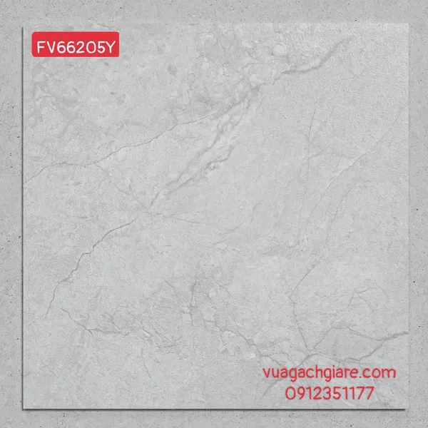 Gạch Đá Mờ 60x60 Ốp Lát Giá Rẻ xám vân đá FV66205Y