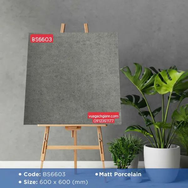 Gạch Đá Mờ 60x60 Ốp Lát Giá Rẻ xám đậm BS6603