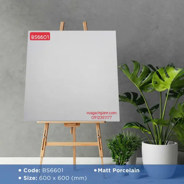 Gạch Đá Mờ 60x60 Ốp Lát Giá Rẻ xám nhạt BS6601