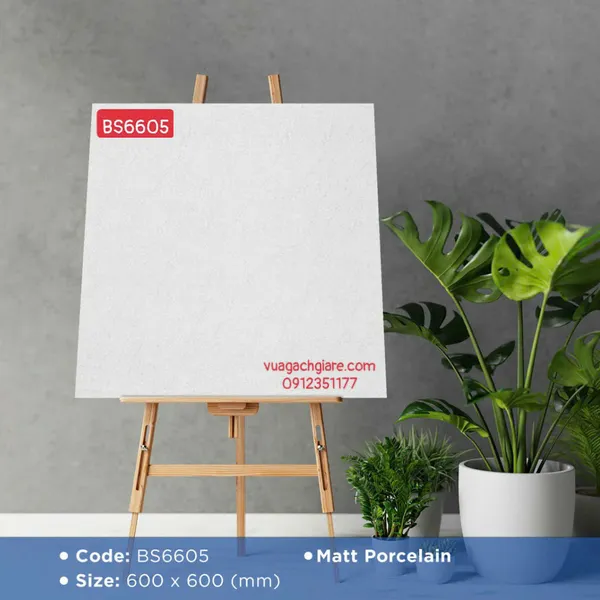 Gạch Đá Mờ 60x60 Ốp Lát Giá Rẻ xám nhạt BS6605