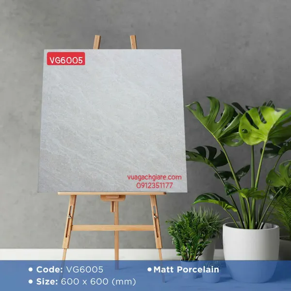 Gạch Đá Mờ 60x60 Ốp Lát Giá Rẻ xám nhạt VG6005