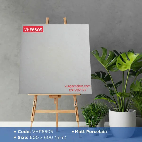 Gạch Đá Mờ 60x60 Ốp Lát Giá Rẻ xám nhạt VHP6605