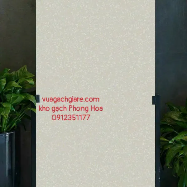 Gạch Đá Ốp Lát 60x120 Cao Cấp Ấn Độ terrazzo màu trắng