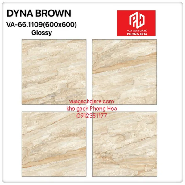 Gạch Đá Ốp Lát 60x60 Cao Cấp Ấn Độ nâu vân đá VA-66.1109