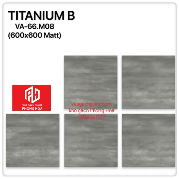 Gạch Đá Ốp Lát 60x60 Cao Cấp Ấn Độ xám xi măng đậm VA-66.M08