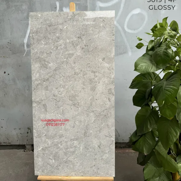 Gạch Đá 60x120 Ốp Lát Ấn Độ vân đá 3019