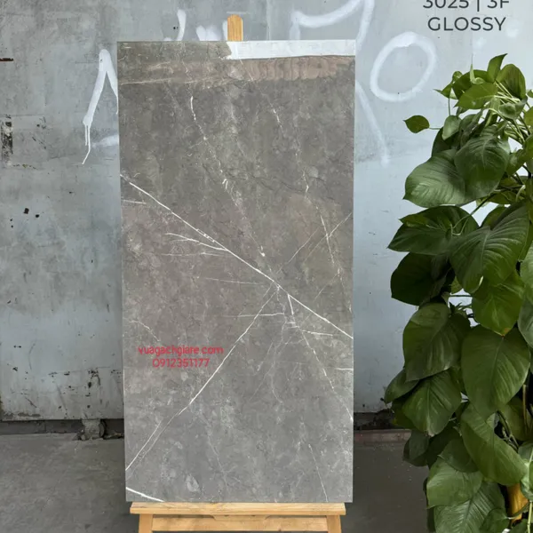 Gạch Đá 60x120 Ốp Lát Ấn Độ xám vân trắng 3025