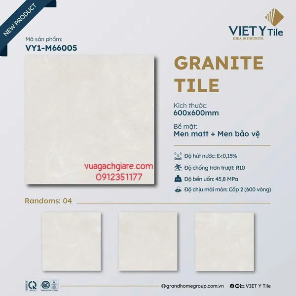 Gạch Đá Mờ 60x60 Ốp Lát Việt Ý Giá Rẻ xám nhạt VY1 - M66005