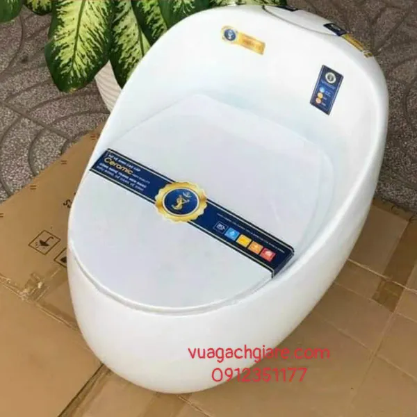 Bồn Cầu Trứng Liền Khối Giá rẻ màu đen - trắng