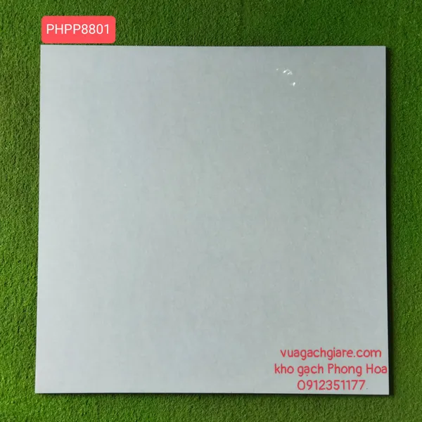 Gạch Đá Ốp Lát 80x80 PANCERA màu xám PP8801