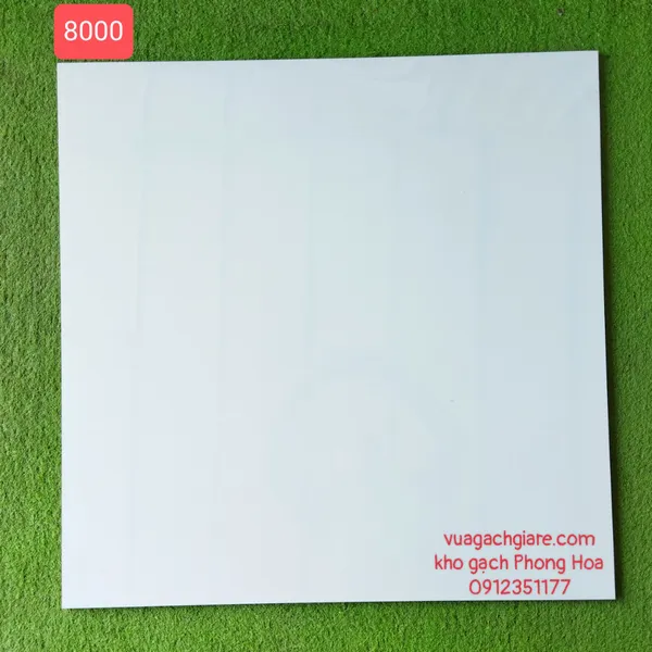 Gạch Đá Ốp Lát 80x80 Royal trắng trơn 8000