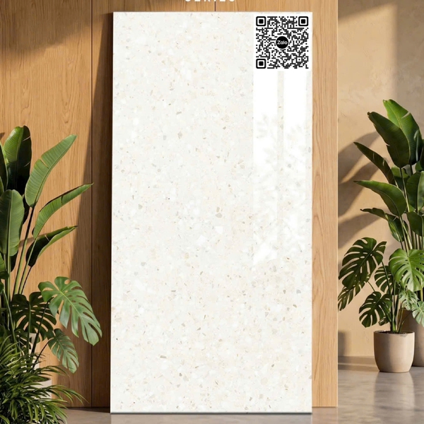 Gạch Đá 60x120 Ốp Lát Ấn Độ terrazzo 3029