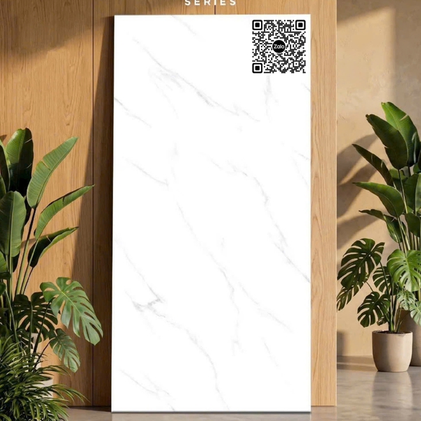 Gạch Đá Mờ 60x120 Ốp Lát Ấn Độ trắng vân khói  3304