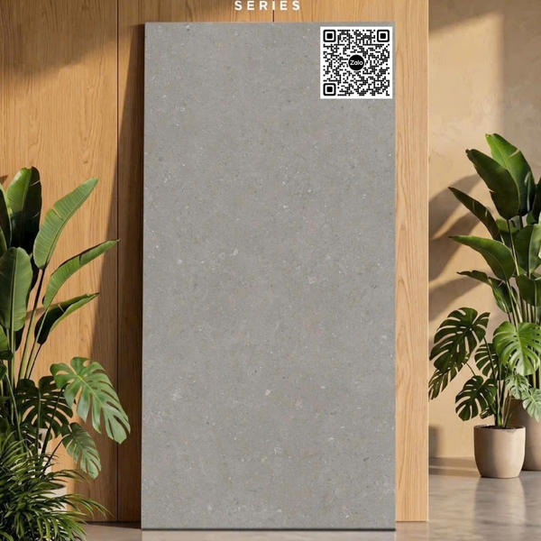 Gạch Đá Mờ 60x120 Ốp Lát Ấn Độ xám đậm 3305