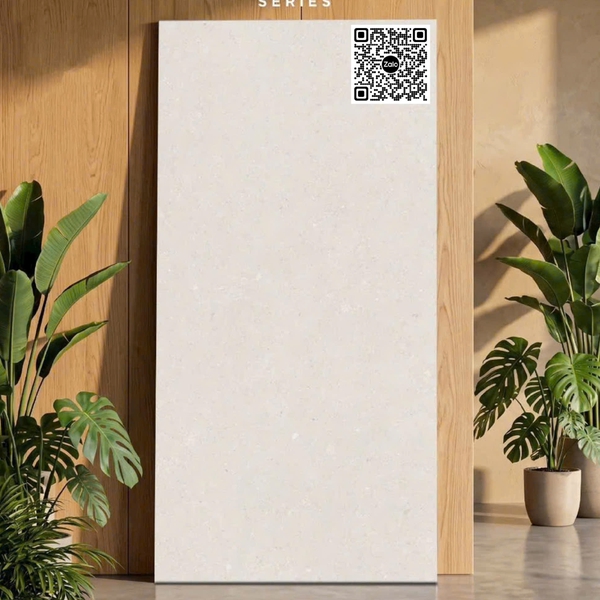 Gạch Đá Mờ 60x120 Ốp Lát Ấn Độ xám nhạt 3307