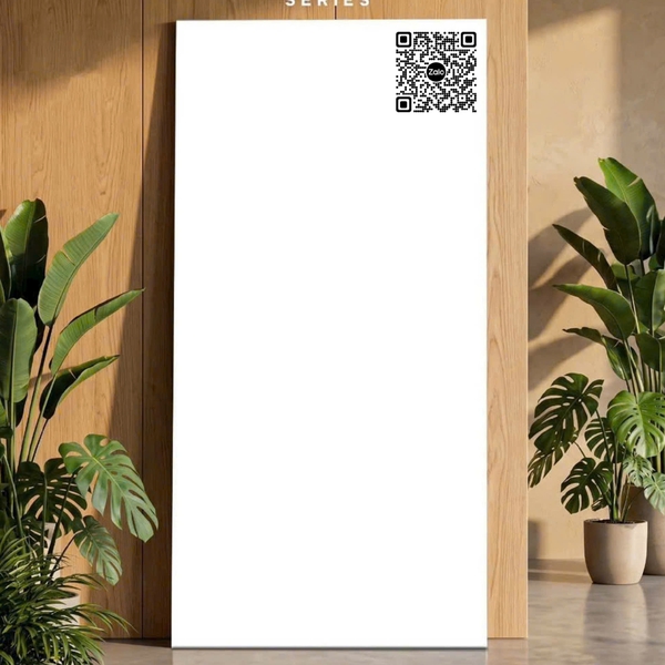 Gạch Đá Mờ 60x120 Ốp Lát Ấn Độ trắng trơn 3501
