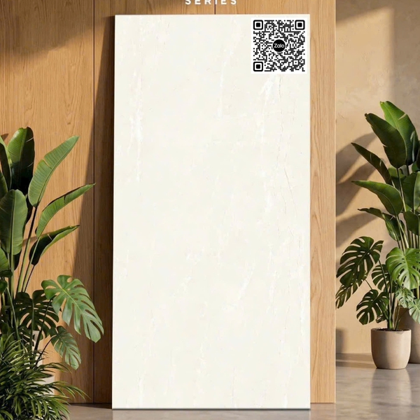 Gạch Đá Mờ 60x120 Ốp Lát Ấn Độ vân đá 3602