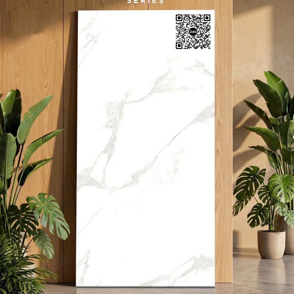 Gạch Đá Mờ 60x120 Ốp Lát Ấn Độ trắng vân khói 3603