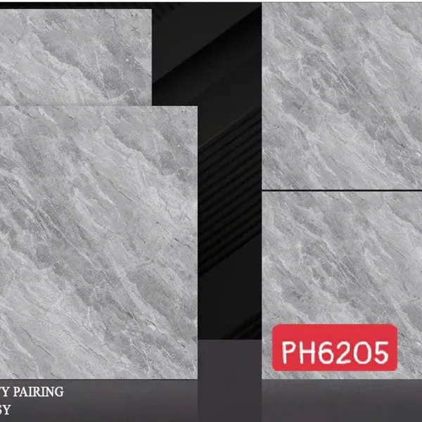 Gạch Men 60x60 Ốp Lát PAK xám vân đá 6205