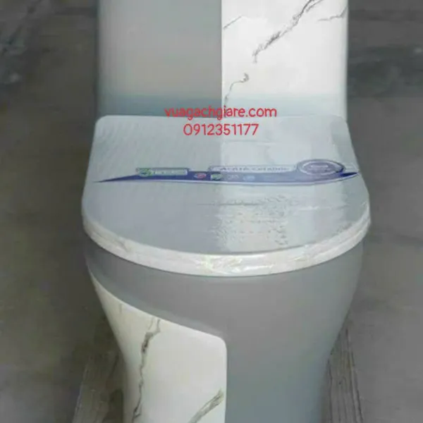 Bồn Cầu Liền Khối Giá Rẻ màu xám
