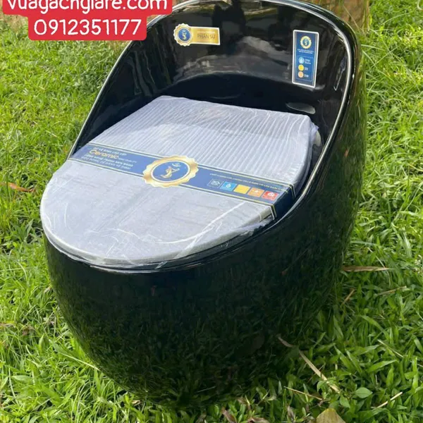 Bồn Cầu Trứng Liền Khối Giá rẻ màu đen - trắng