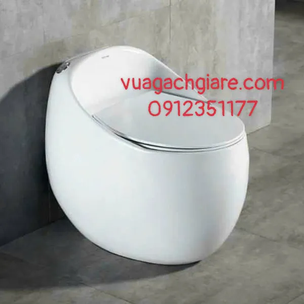 Bồn Cầu Trứng Liền Khối Giá rẻ màu trắng nắp đen - nắp xám