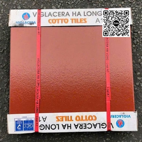 Cotto Viglacera Hạ Long Ốp Lát Giá Rẻ
