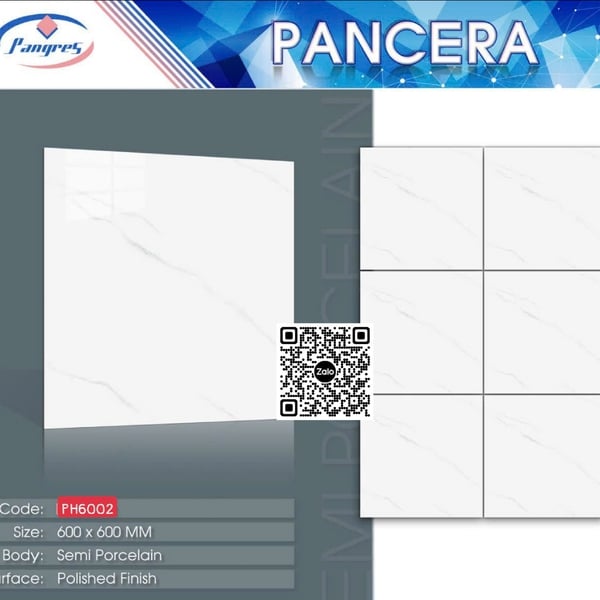 Gạch Bán Sứ 60x60 Ốp Lát Pancera trắng vân khói 6002