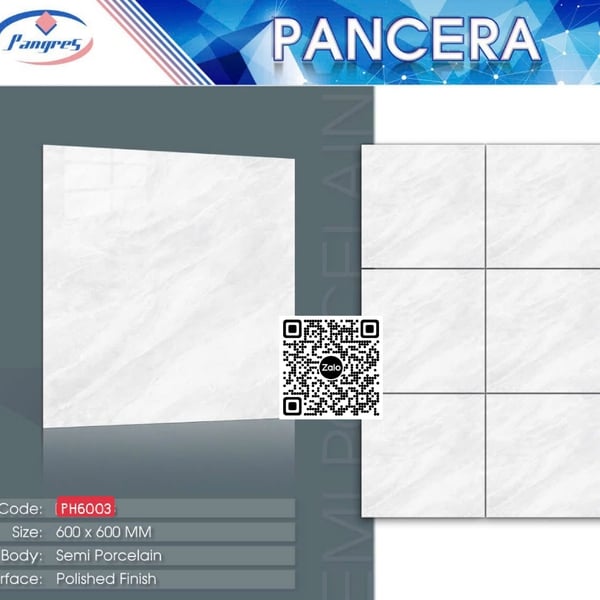 Gạch Bán Sứ 60x60 Ốp Lát Pancera vân mây 6003