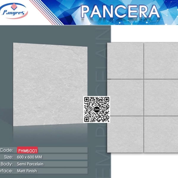 Gạch Bán Sứ Mờ 60x60 Ốp Lát Pancera màu xám M6001