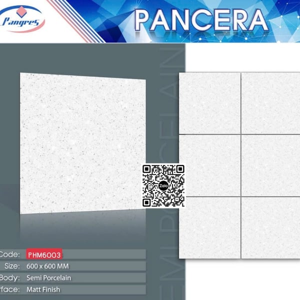 Gạch Bán Sứ Mờ 60x60 Ốp Lát Pancera terrazzo M6003