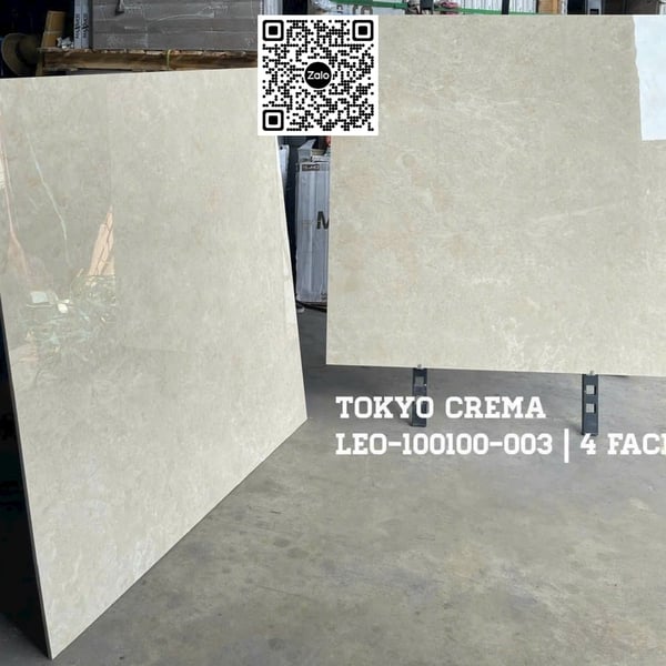 Gạch Đá 100x100 Ốp Lát Ấn Độ vân đá 003