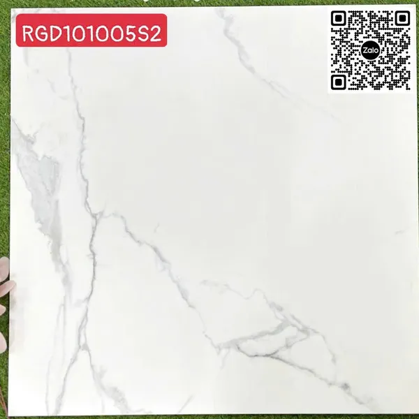 Gạch Đá 100x100 Ốp Lát Giá Rẻ trắng vân khói RGD101005S2