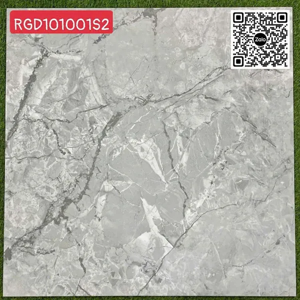 Gạch Đá 100x100 Ốp Lát Giá Rẻ vân đá RGD101001S2
