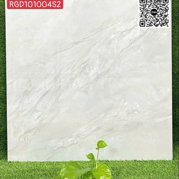 Gạch Đá 100x100 Ốp Lát Giá Rẻ vân đá RGD101004S2