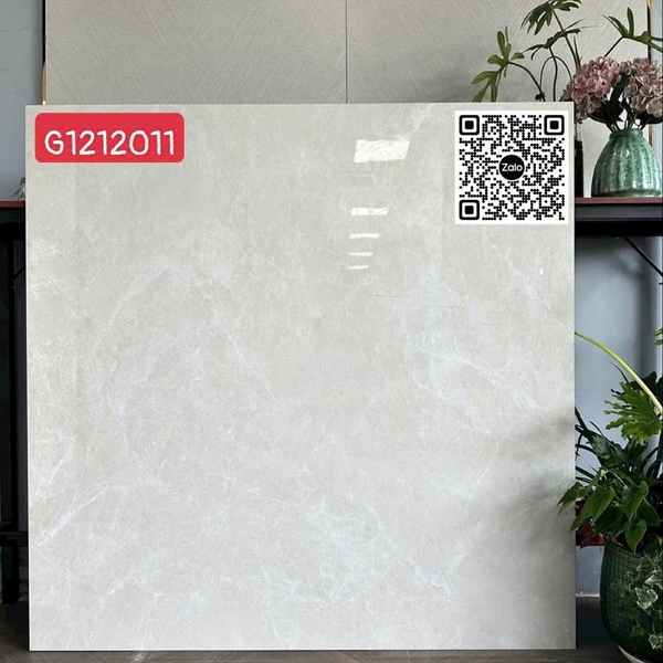 Gạch Đá 120x120 Ốp Lát Ấn Độ mạng nhiện G1212011