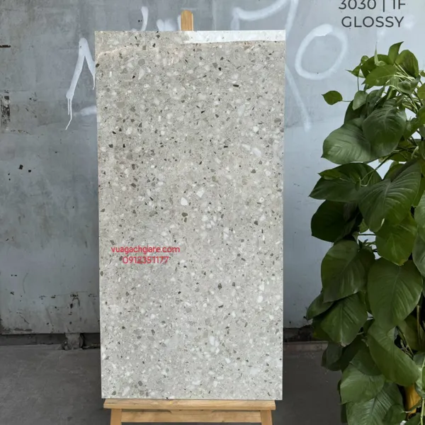 Gạch Đá 60x120 Ốp Lát Ấn Độ terrazzo 3030