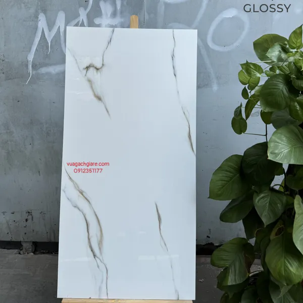 Gạch Đá 60x120 Ốp Lát Ấn Độ trắng vân khói 3012