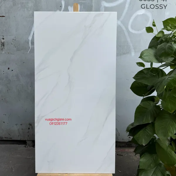 Gạch Đá 60x120 Ốp Lát Ấn Độ trắng vân khói 3033