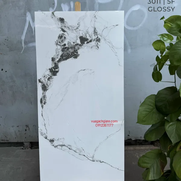 Gạch Đá Ốp Lát 60x120 Cao Cấp Ấn Độ trắng vân đen 3011