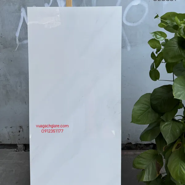 Gạch Đá 60x120 Ốp Lát Ấn Độ trắng vân mây 3040