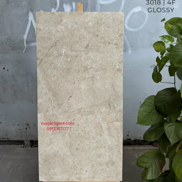 Gạch Đá 60x120 Ốp Lát Ấn Độ vân đá 3018