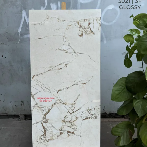 Gạch Đá 60x120 Ốp Lát Ấn Độ vân đá 3021