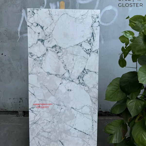 Gạch Đá 60x120 Ốp Lát Ấn Độ vân đá 3702